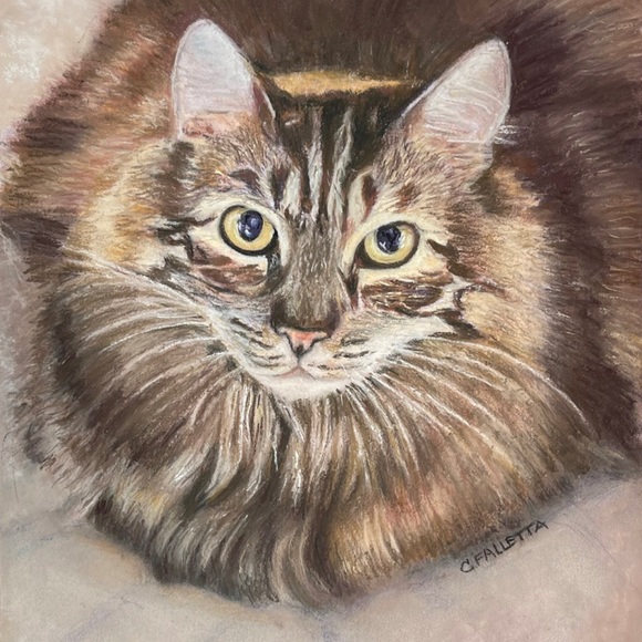 Meet your Posher, Carolyn - Picture 2 of 15